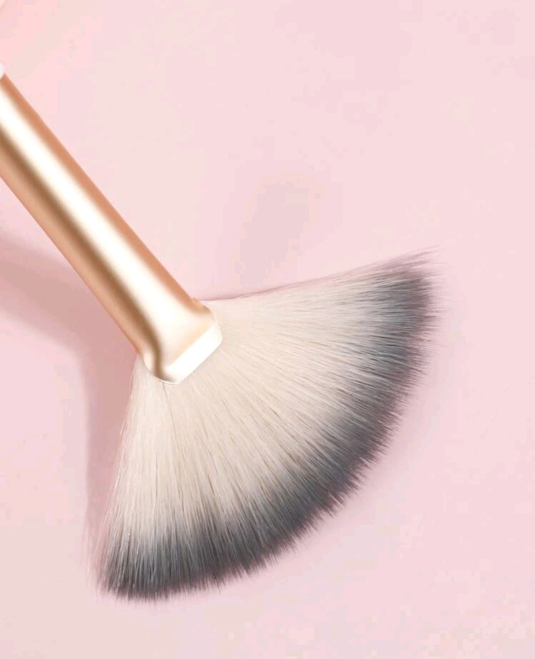 Brush For Highlighting Makeup